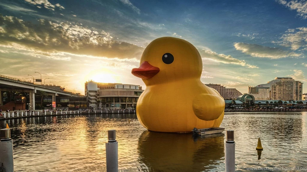 Rubber Ducky Wallpapers Wallpapers Cave