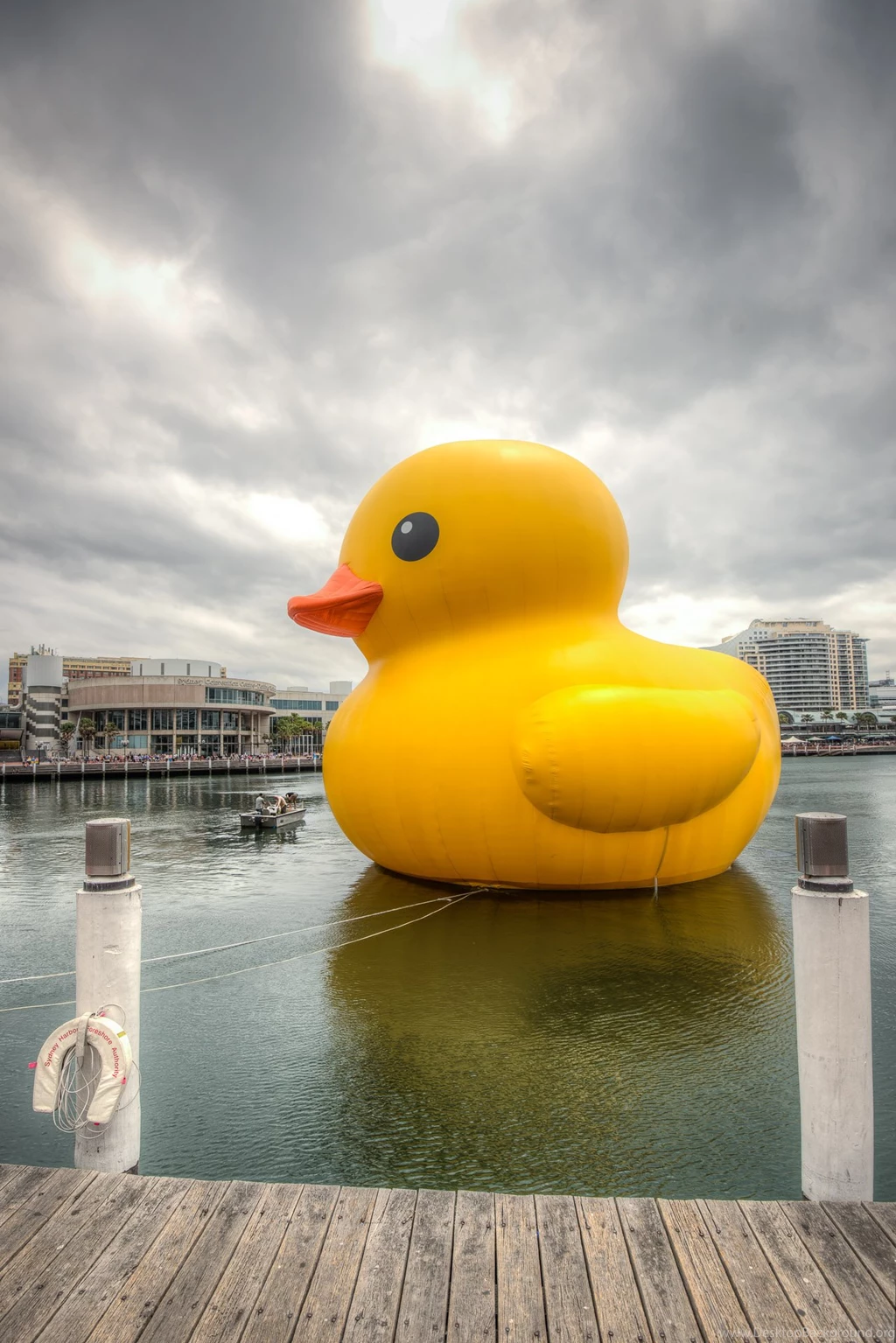 Large Rubber Duck