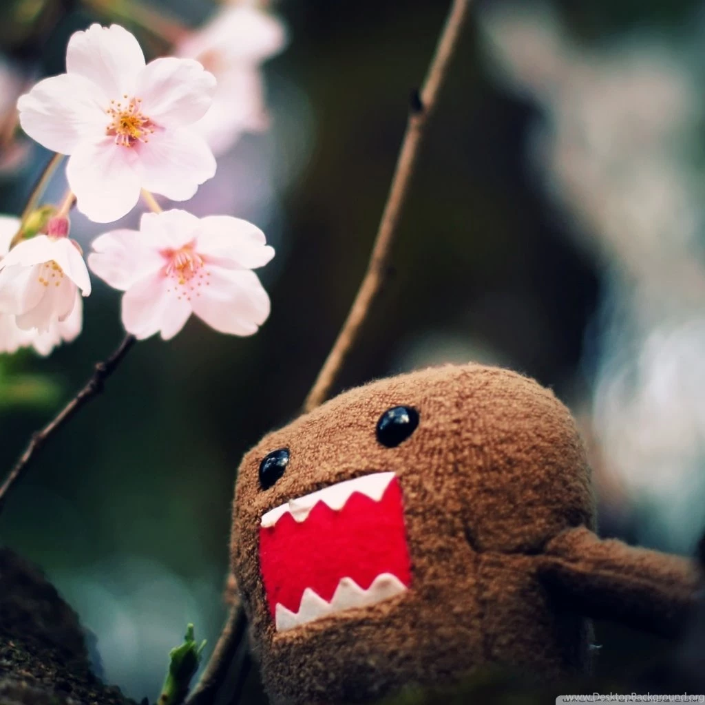 Domo Kun And Tree Blossoms HD Desktop Wallpapers : High Definition ...