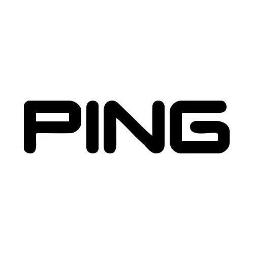 What Is Pinging A Website?