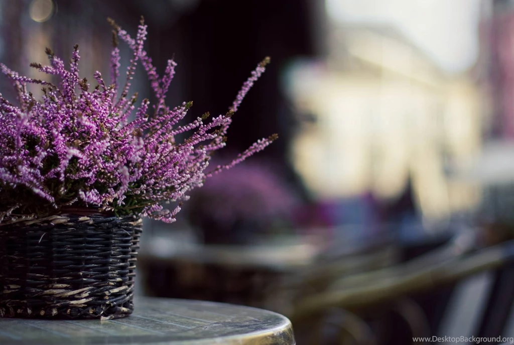 Flat Dish Wallpaper. Tags: Photo, Blur, Table, Wicker, Basket ...