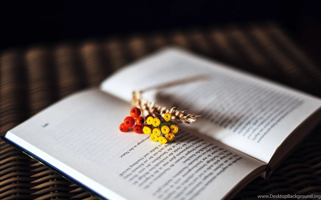 Wicker Table Open Book Pages Text Berries Flowers HD Wallpapers ...