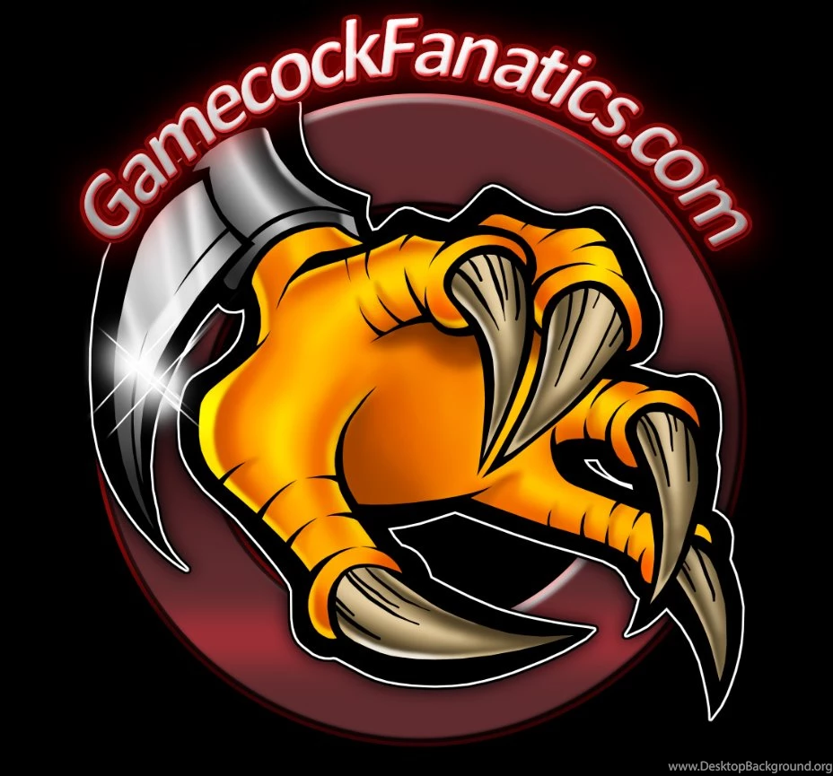 Gamecockfanatics.com Wallpapers Gamecock Multimedia Gamecock ...