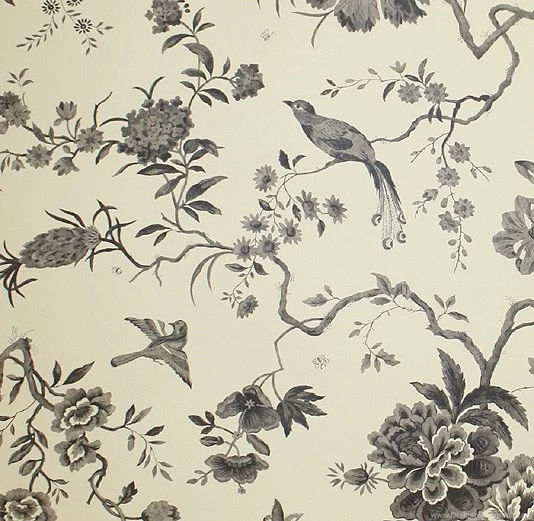 Bird Wallpapers