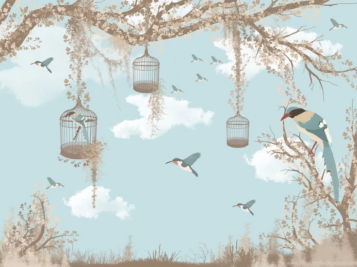 Bird Print Wallpapers On Pinterest