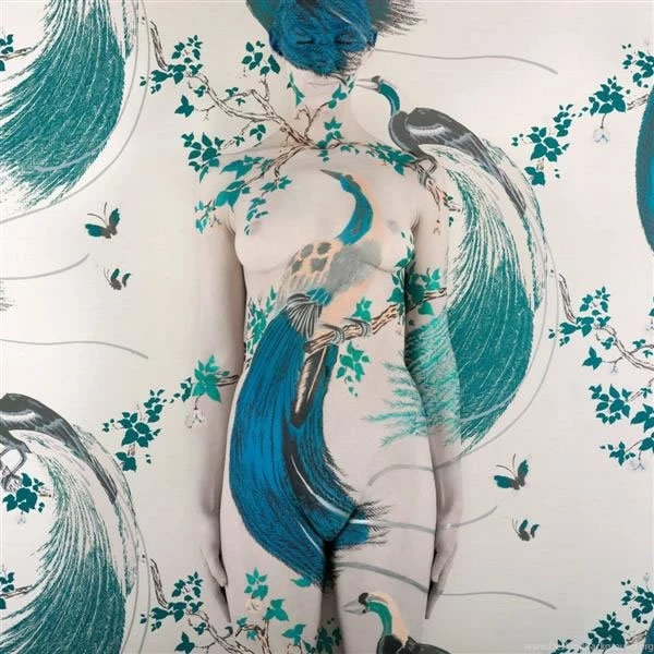 Wallpapers Collection By Emma Hack At Frances Keevil Gallery Sydney