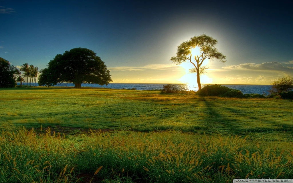 ENVIRONMENTAL
