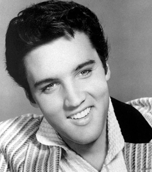 Grayscale,singers,Elvis Presley Elvis Presley Grayscale Singers ...