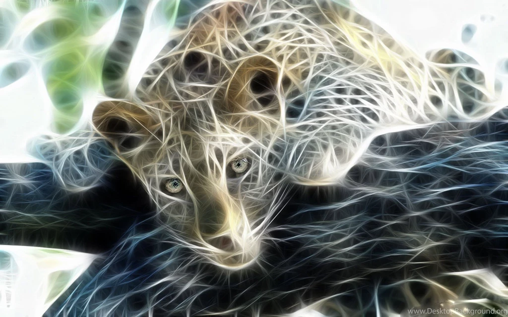 Snow Leopard Wallpapers