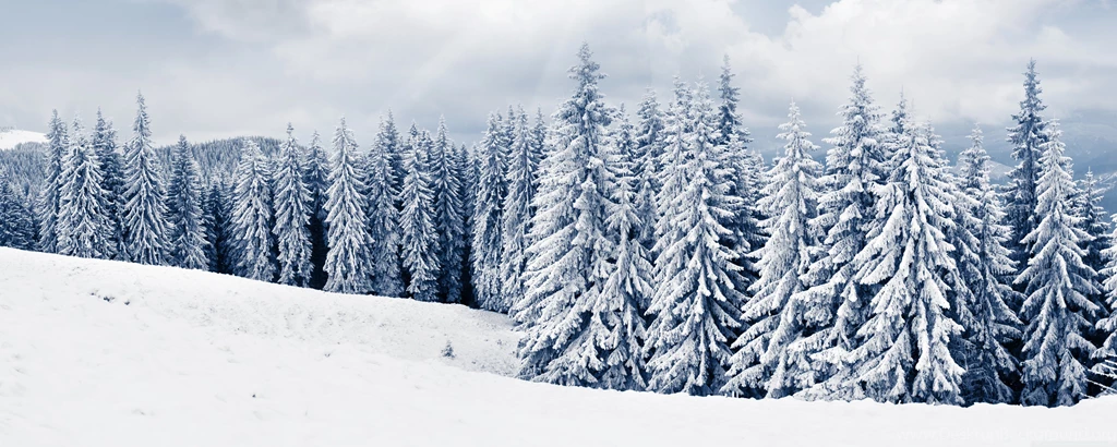 Winter HD Desktop Wallpapers : High Definition : Fullscreen ...