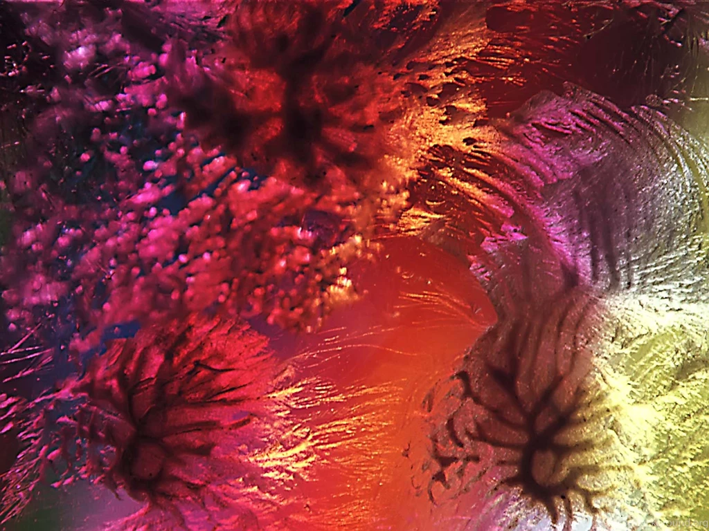 Download Abstract Backgrounds Underwater Coral Images Wallpapers ...