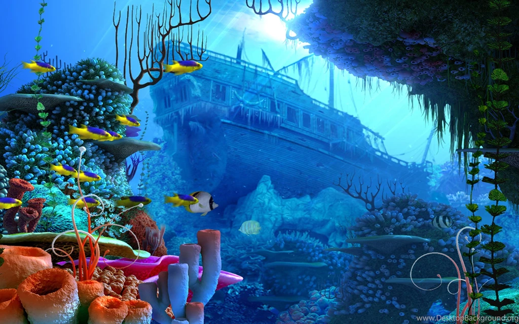 Coral Reef Wallpapers Wallpapers Cave