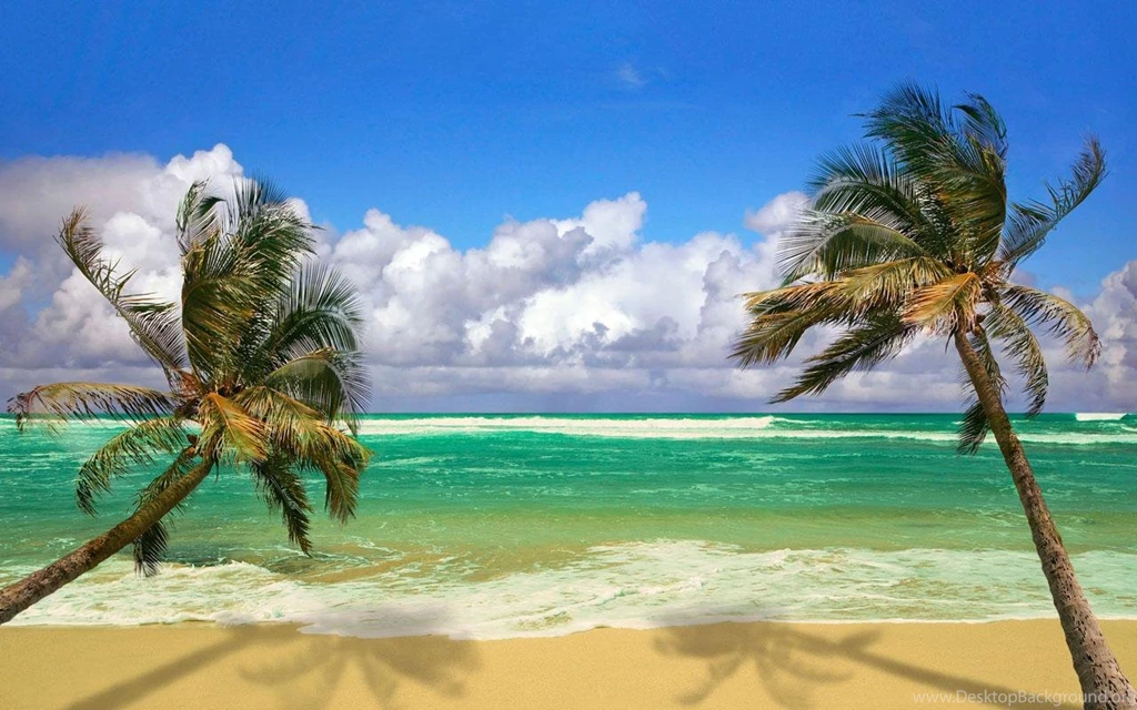 Beach Live Wallpapers For (Android) Free Download On MoboMarket