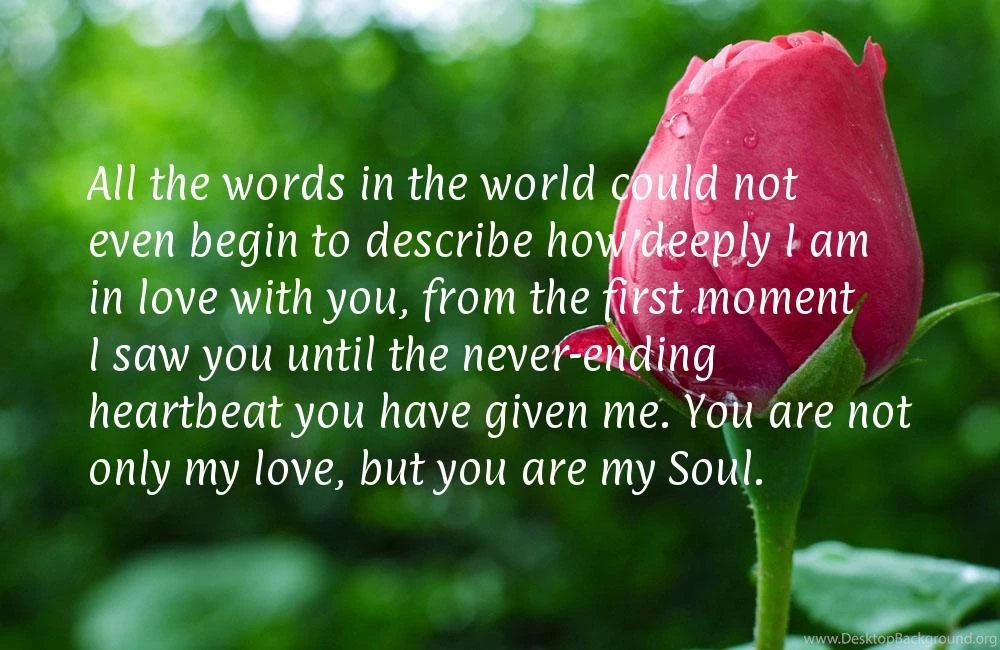 I Love My Husband Pictures Wallpapers HD Base