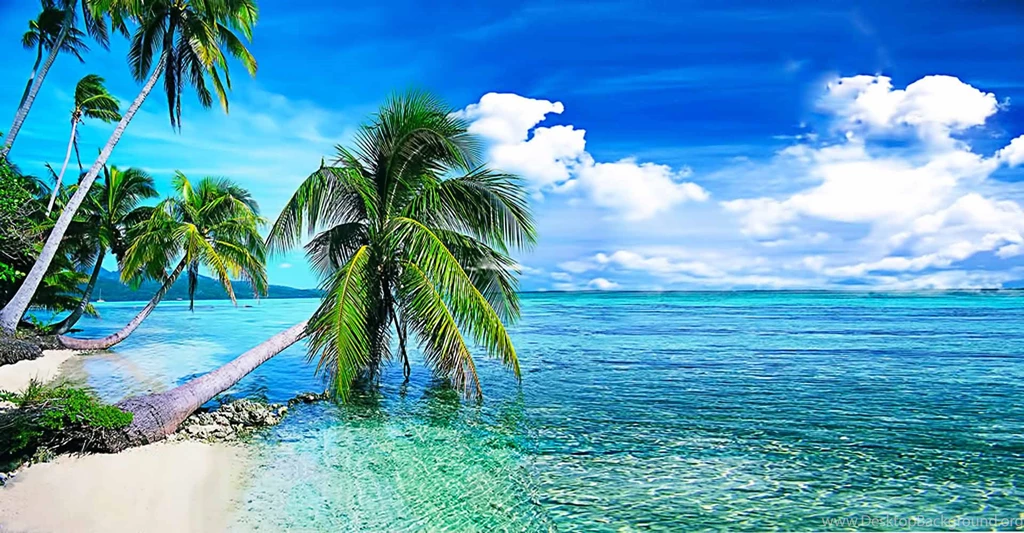 Live Wallpapers PC Wallpapers Zone