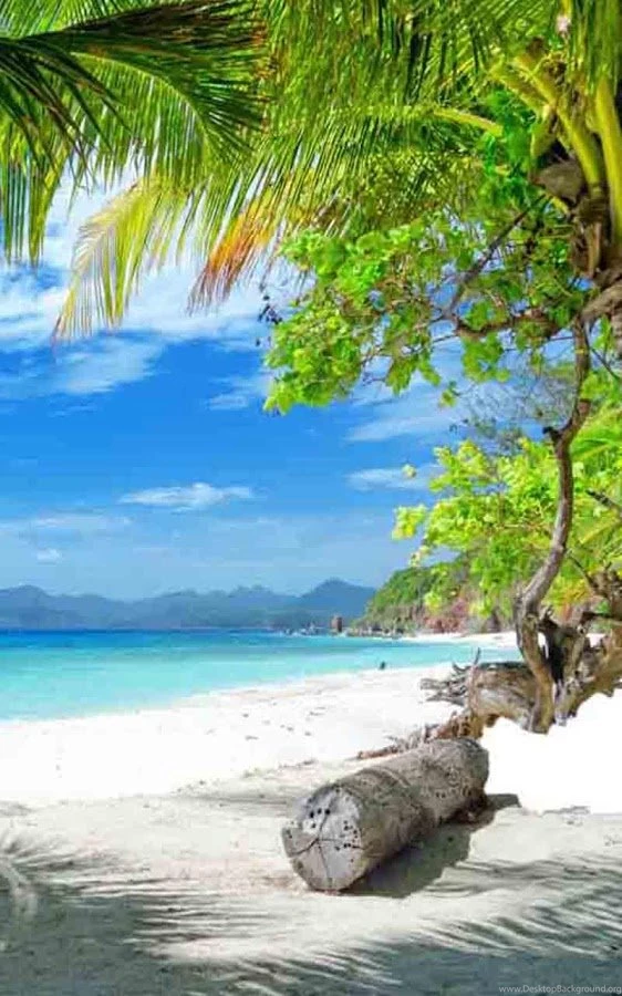 Beach Live Wallpapers Android Apps On Google Play
