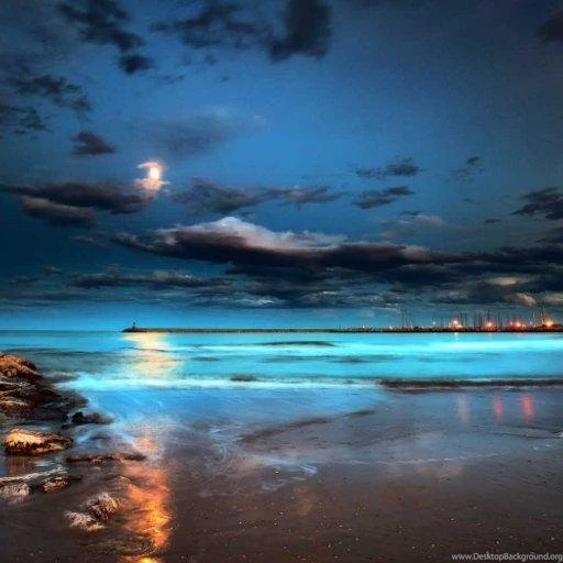 Night Beach Live Wallpapers Android Apps And Tests AndroidPIT