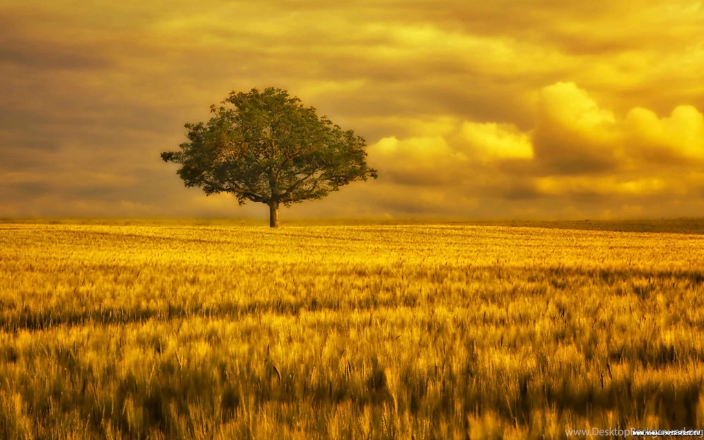 Top Large Hd Wallpapers Landscape Wallpapers