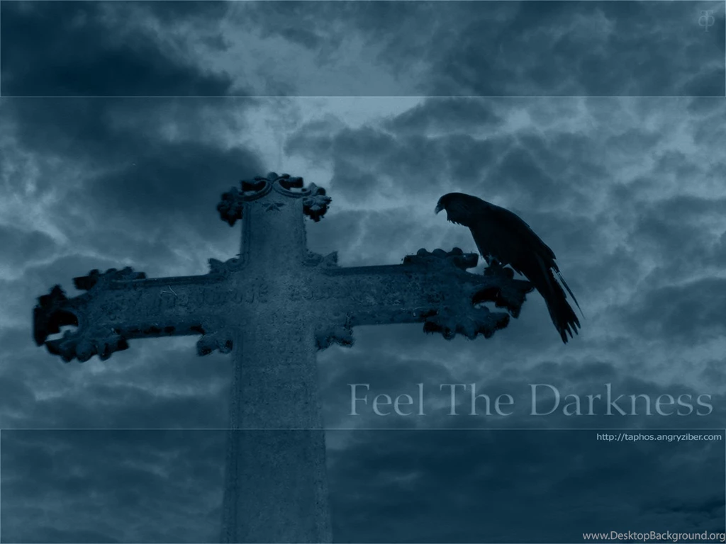29 Raven HD Wallpapers