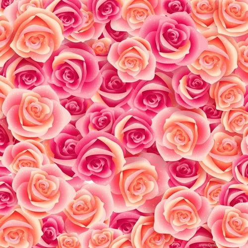 Popular Pink Rose Background Buy Cheap Pink Rose Backgrounds Lots ...
