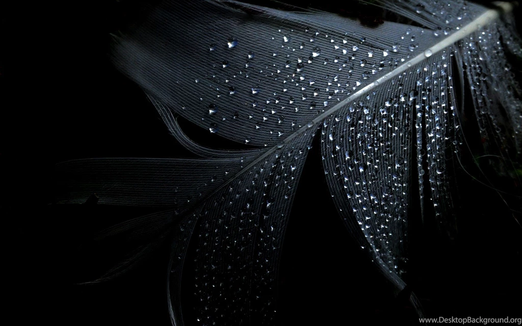 Black Backgrounds