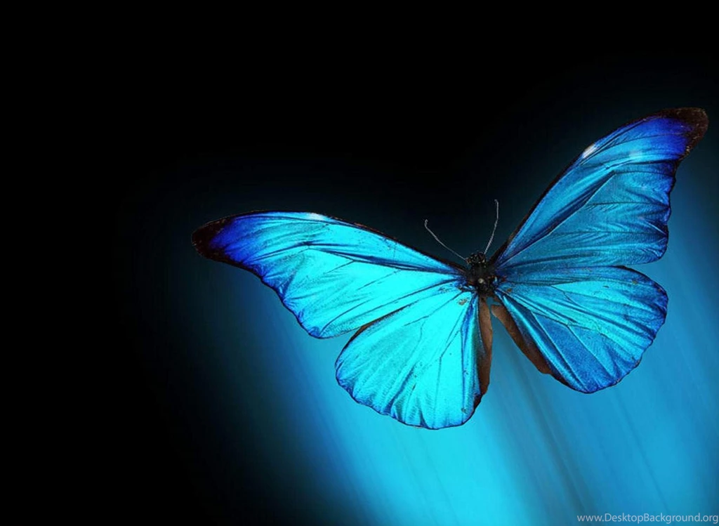 Live Wallpapers Windows 7 High Definition PL2