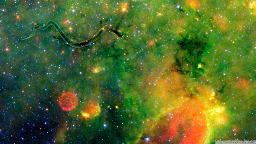 Snake On The Galactic Plane HD Desktop Wallpapers : High Definition ...