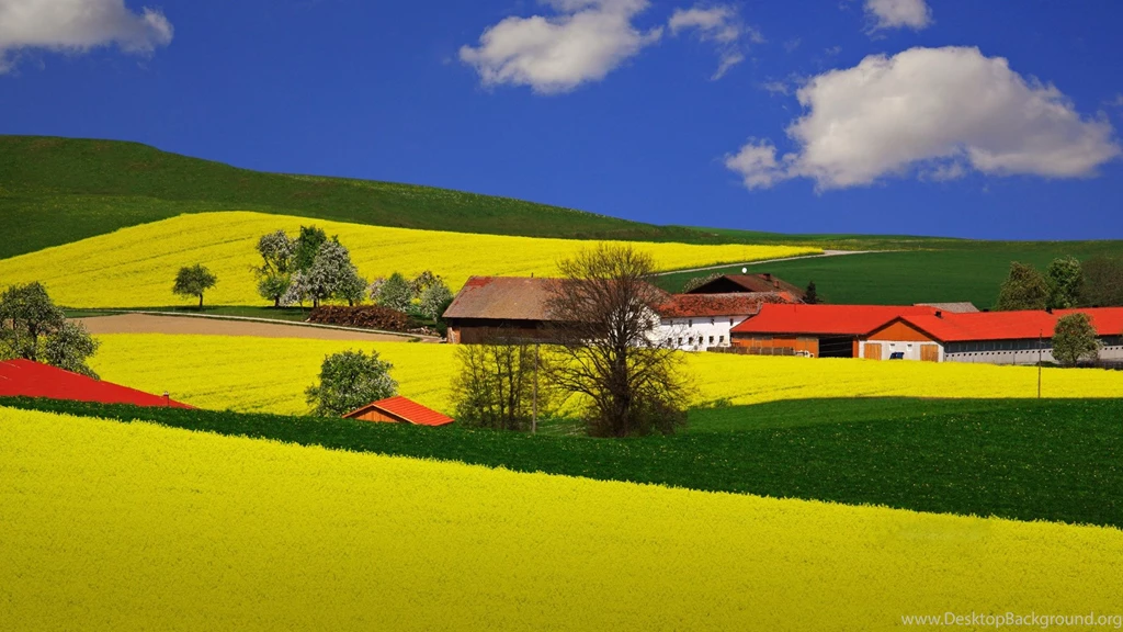 Wallpapers Night Graden House In The Field Unique Hd Nature Px ...