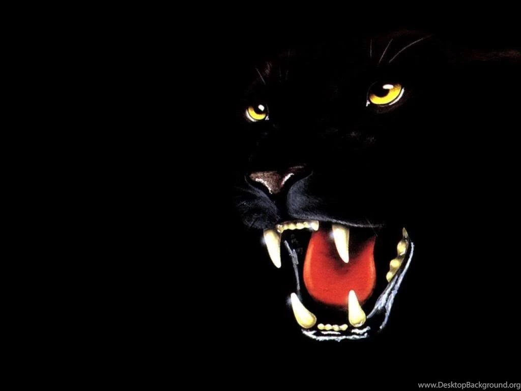 Black Panther Wallpapers