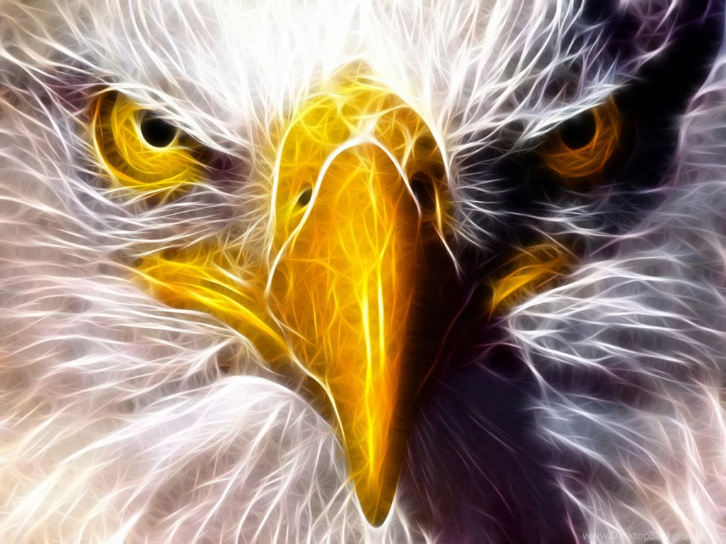 Eagle Eye Hd Wallpapers ImgMob