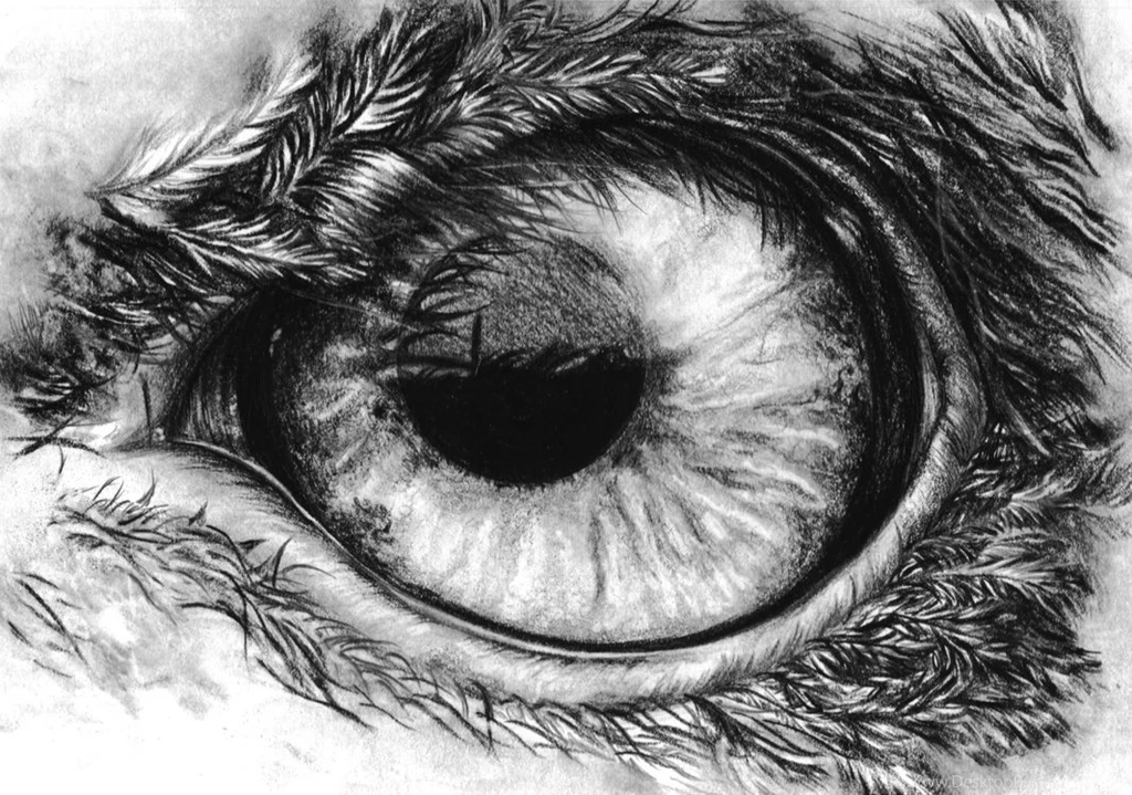 1920x1080px Eagle Eye