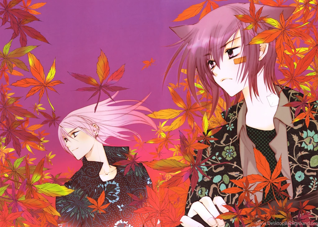 Kouga Yun Loveless Your Eyes Only (Kouga Yun) Agatsuma Soubi ...