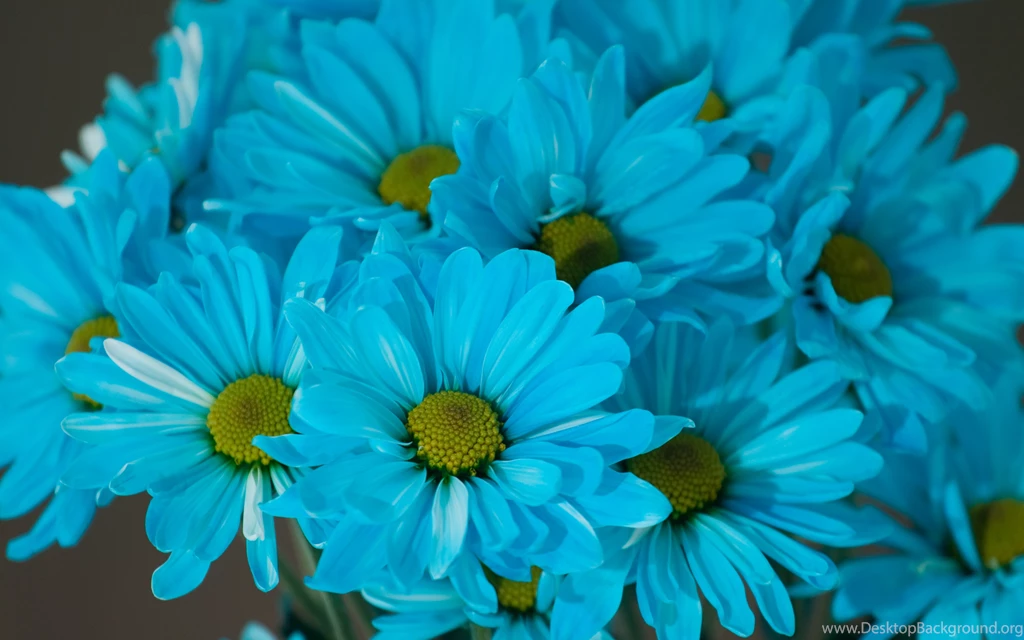Blue Computer Wallpapers, Desktop Backgrounds