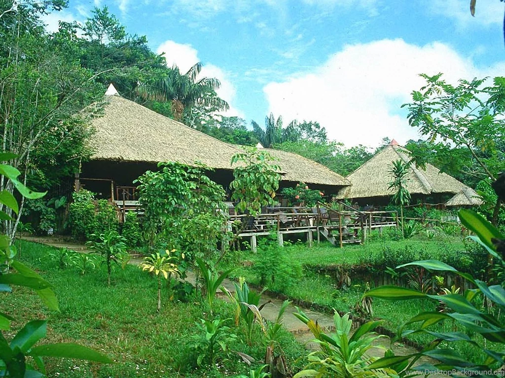 House In Amazon Forest 1600x1200 Wallpapers,Amazon Forest ...