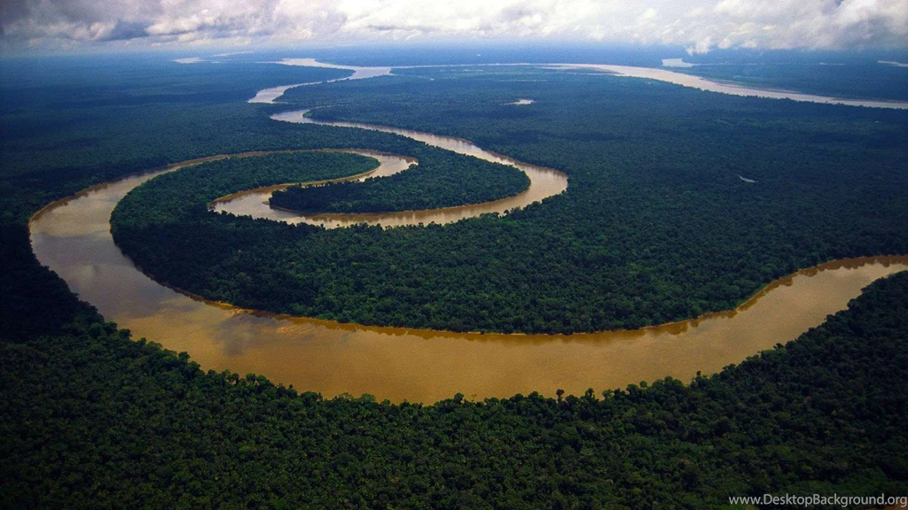 Amazon River Rain Forest Wallpapers
