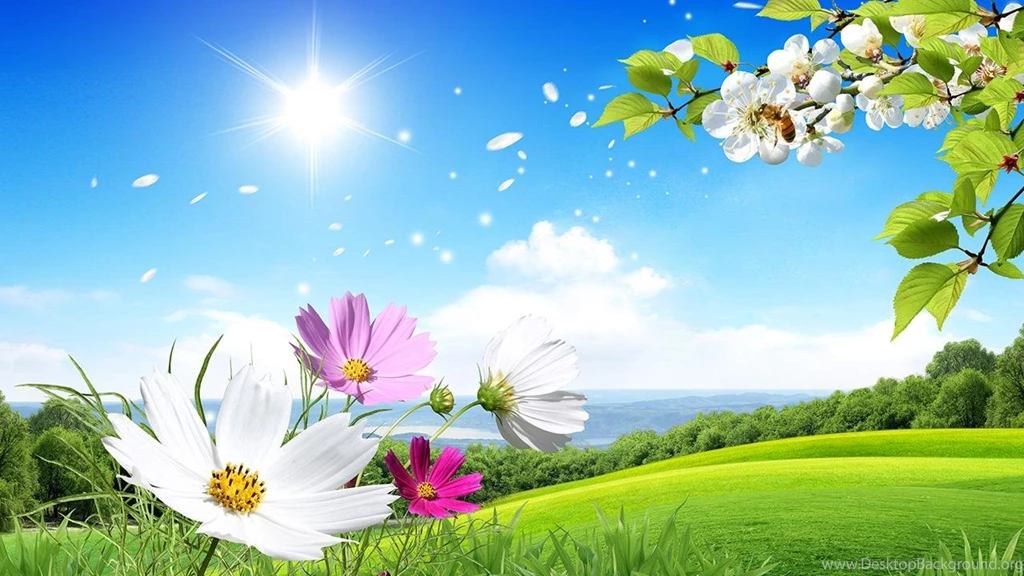 Spring Live Wallpapers Android Apps On Google Play