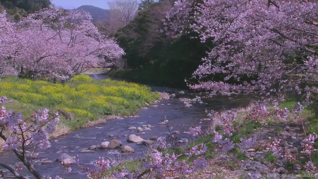 Spring River Live WallPaper Android Apps On Google Play