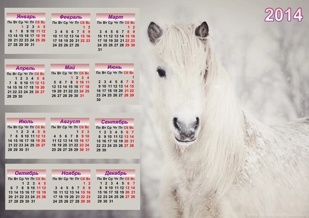 Horse Calendar 2014 Wallpapers