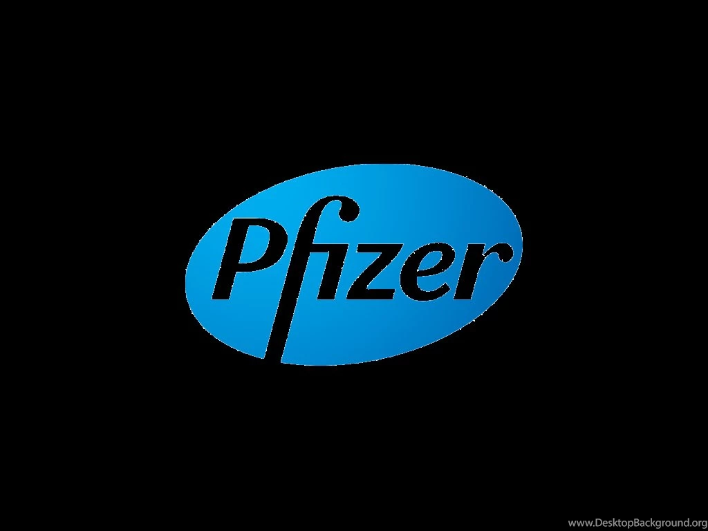 The Logo Creator