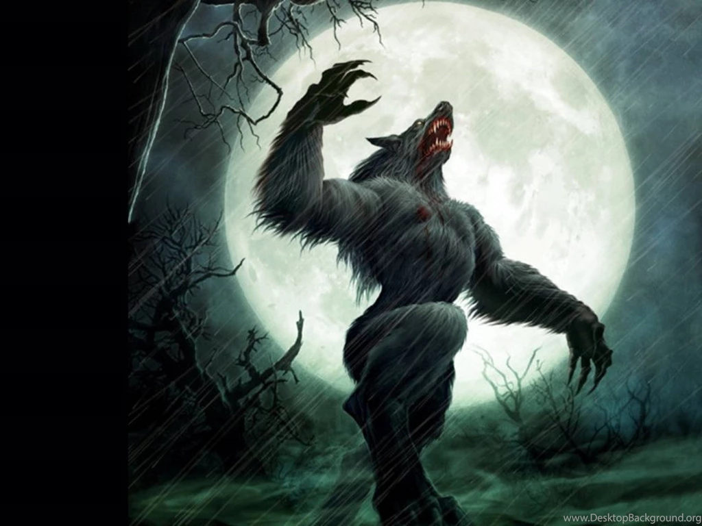 Werewolve Werewolves Wallpapers