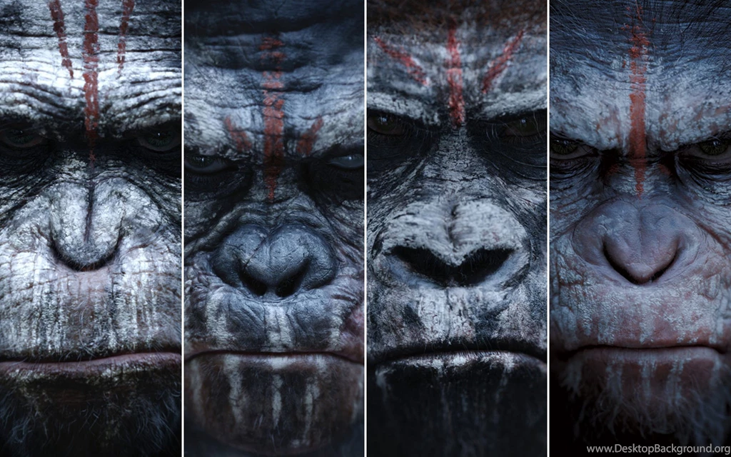 Dawn Of The Planet Of The Apes HD Wallpapers