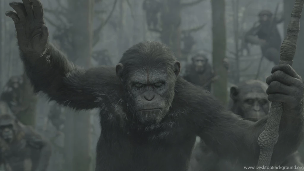 Image Dawn of the planet of the apes 51ebf72075c1a.jpg Planet ...