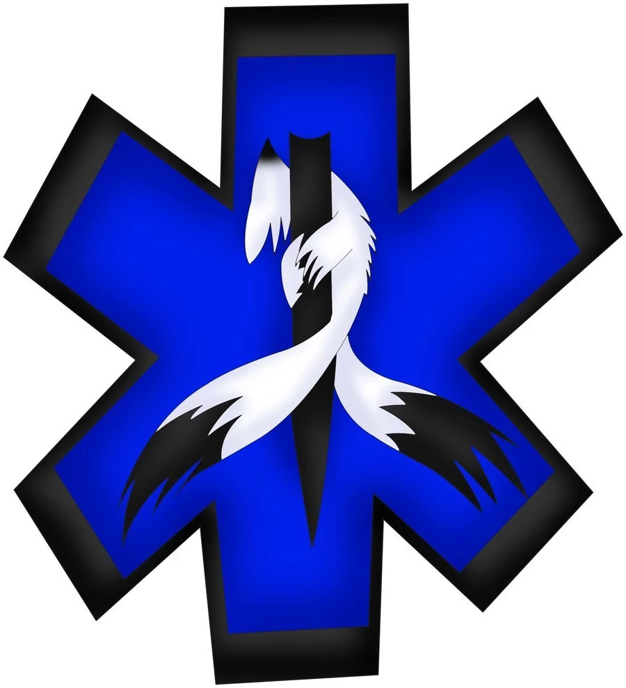Star Of Life By Insane ChibiFox On DeviantArt