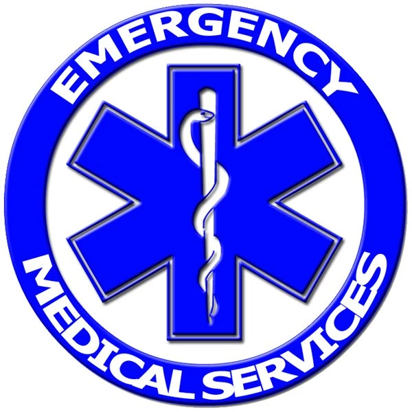 Star Of Life Clip Art Cliparts.co