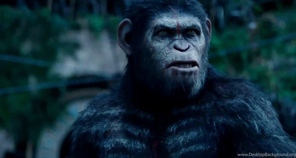 Dawn Of The Planet Of The Apes Movie Wallpapers