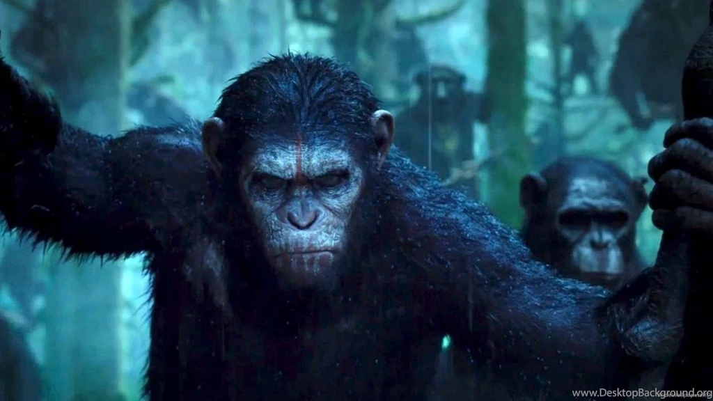 Rise Of The Planet Of The Apes Poster Wallpaper.
