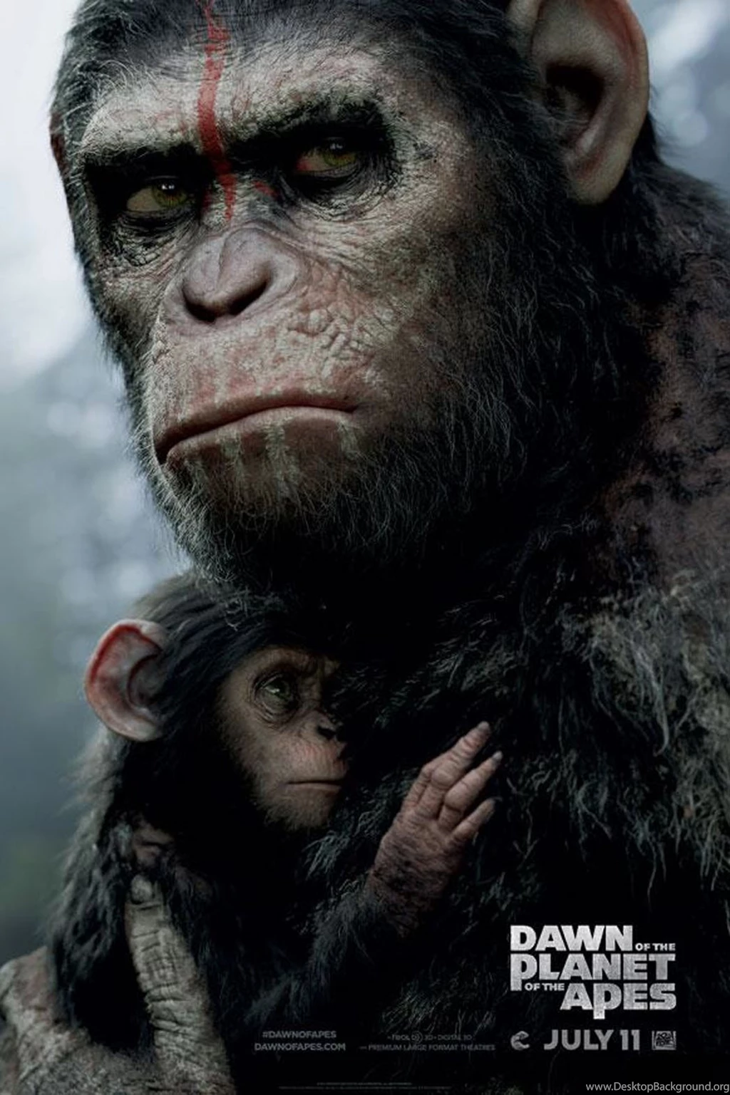 HD Dawn Of The Planet Of The Apes Wallpapers And Photos
