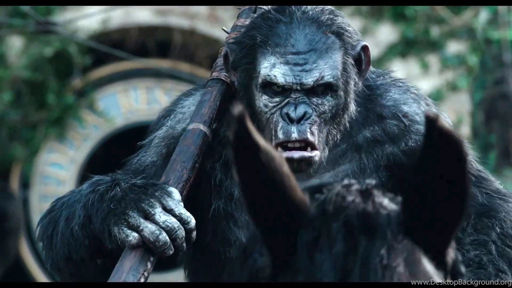 Dawn Of The Planet Of The Apes Wallpapers Koba Wallpaper.