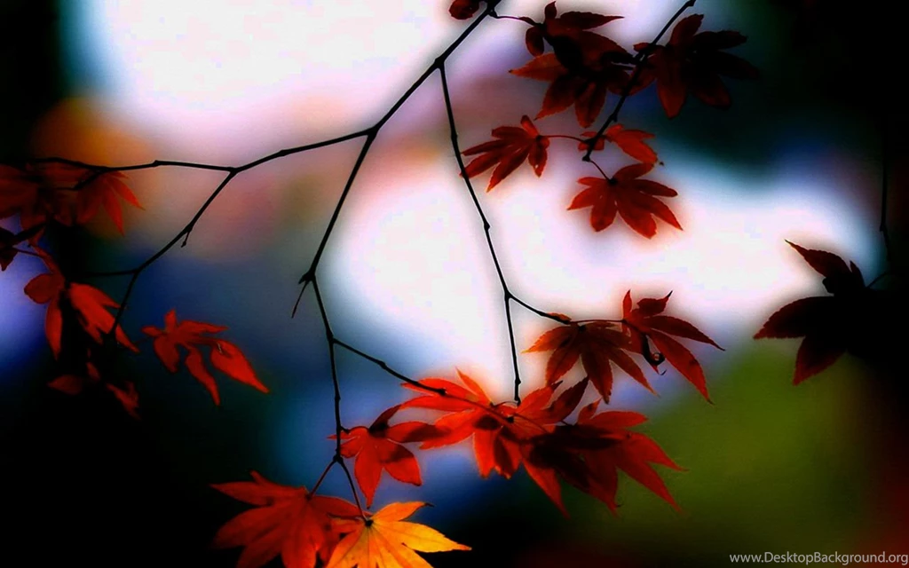 4k Abstract Wallpapers – 3840×2160 High Definition Wallpapers ...