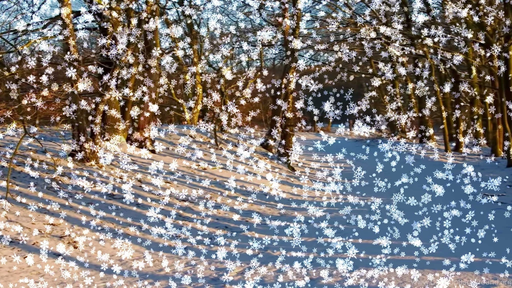 Live Wallpapers And Screensavers For PC